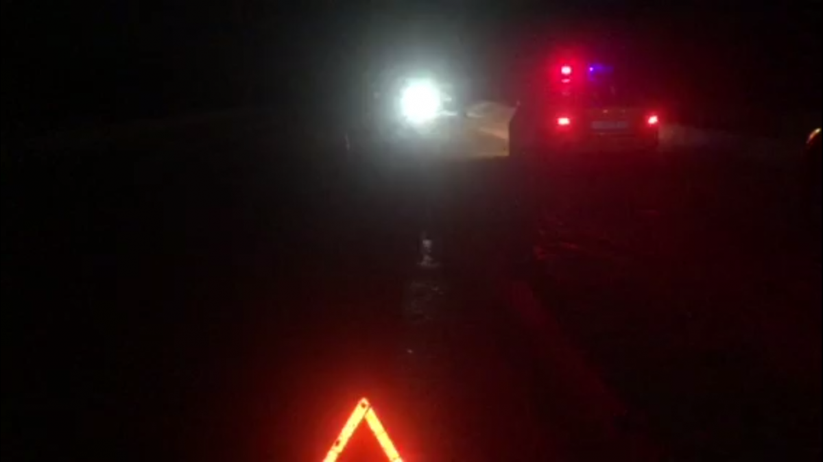 Автомобиль насмерть сбил пешехода в Арзамасском районе - фото 1