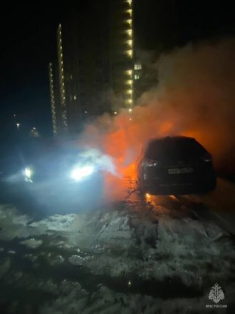 Два автомобиля сгорели на парковке на Волжской набережной - фото 2