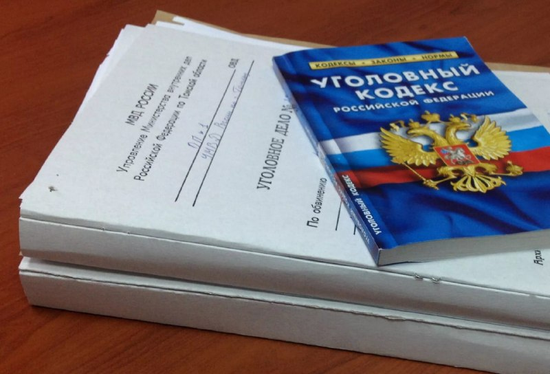 Нижегородца задержали за создание фиктивной организации - фото 1