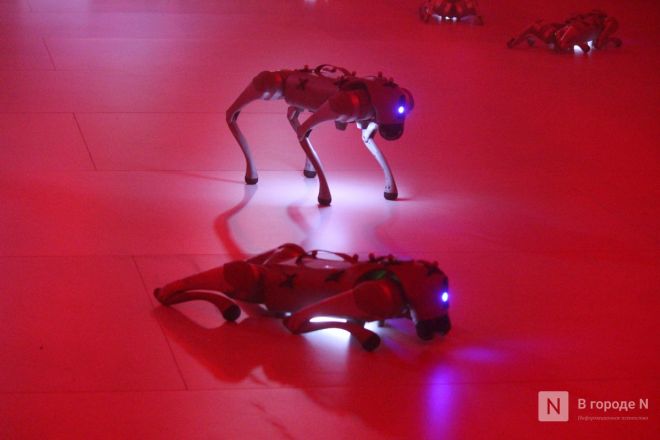Просто вау: фоторепортаж со всех локаций INTERVALS &mdash; 2025 в Нижнем Новгороде - фото 12