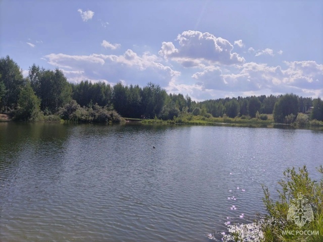 СК начал проверку после гибели ребенка в пруду в Нижегородской области - фото 1
