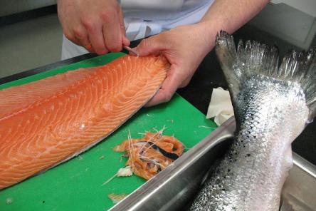 Росконтроль назвал марку единственной безопасной семги