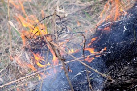 Площадь лесного пожара в Воротынском районе увеличилась до 3,3 тысячи га