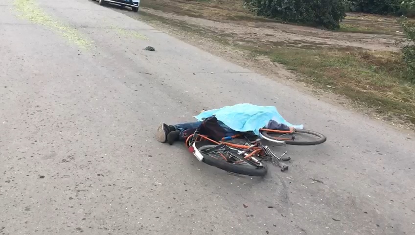 Трактор задавил насмерть велосипедиста в Пильнинском районе - фото 1
