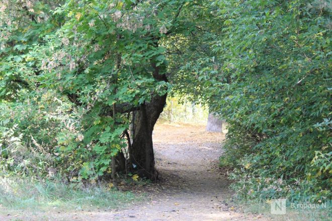 Фоторепортаж: как выглядит Сормовский парк, который ждет масштабная реконструкция - фото 44