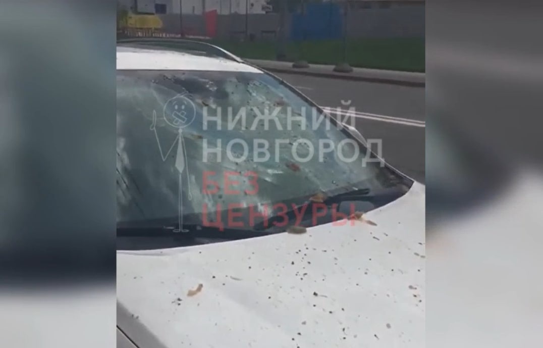 Автомобили закидали банками с соленьями из окна дома по улице Горького - фото 1