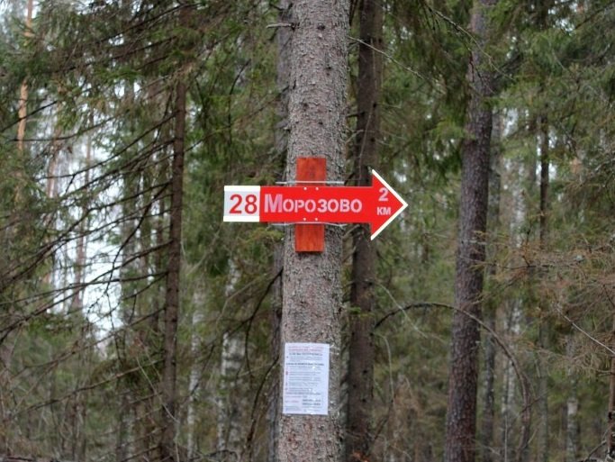 Нижегородские волонтеры расставят навигационные указатели в лесу - фото 2
