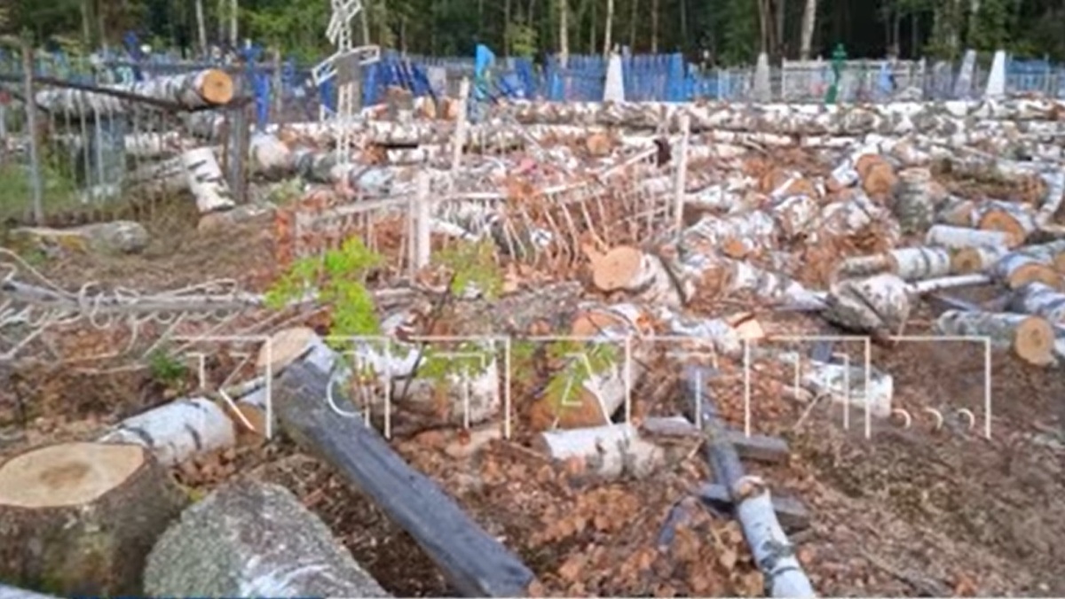 Кладбище села Егорово пострадало от срубленных деревьев в Воскресенском районе - фото 1