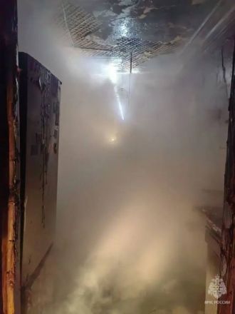 Девять человек эвакуировали из жилого дома в Нижнем Новгороде из-за пожара - фото 2