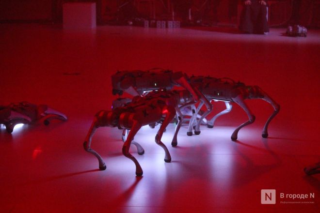 Просто вау: фоторепортаж со всех локаций INTERVALS &mdash; 2025 в Нижнем Новгороде - фото 7