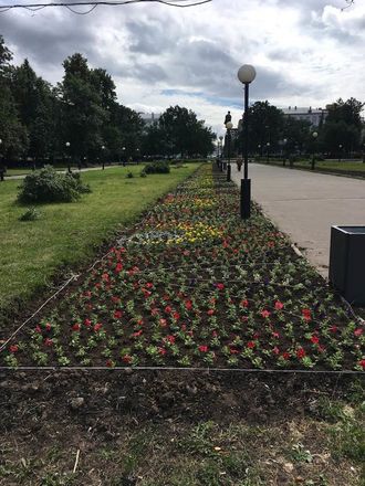 Более 50 тысяч цветов посадили в Нижегородском районе - фото 5