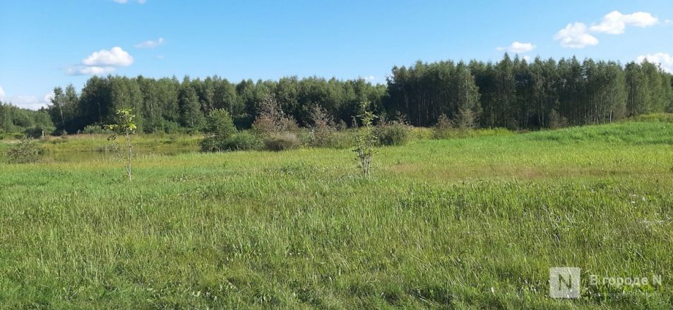 Козлы, мармелад и училище из &laquo;Кадетства&raquo;: нижегородка рассказала небанальном отдыхе в Твери - фото 188