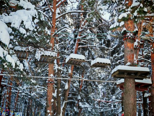 Аномальные морозы в Нижнем Новгороде: фоторепортаж из заснеженных парков - фото 32