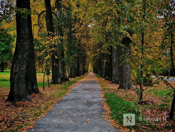 Та самая пушкинская осень: уютный фоторепортаж из Большого Болдина - фото 56