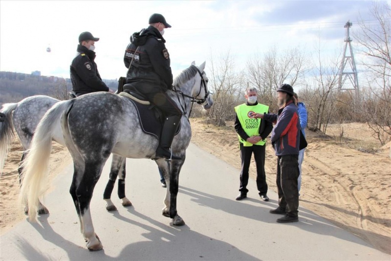 Конные патрули включились в борьбу с нарушителями самоизоляции в Нижегородской области - фото 1