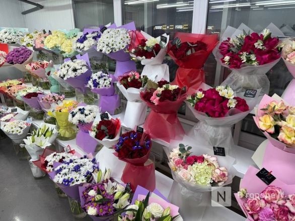 Опубликована программа празднования 8 марта в Нижнем Новгороде - фото 1