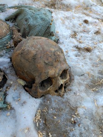 Человеческие останки обнаружил нижегородец в Кремле - фото 4