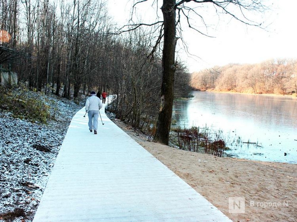 Стало известно, когда в Нижнем Новгороде выпадет первый снег - фото 1