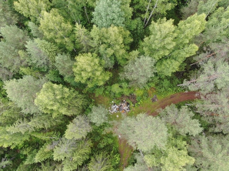 Огромная свалка мусора обнаружена в лесах Нижегородской области   - фото 1