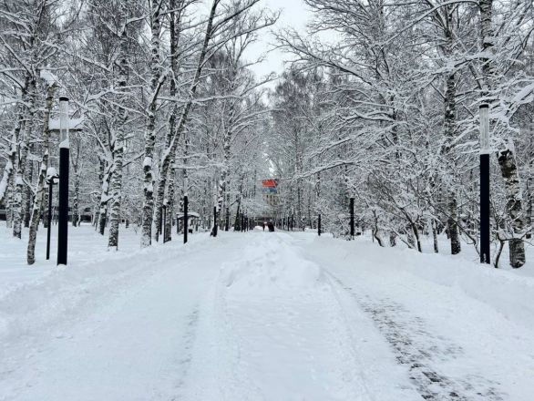 Утонули в сугробах: фоторепортаж с улиц Нижнего Новгорода после снежного апокалипсиса - фото 8