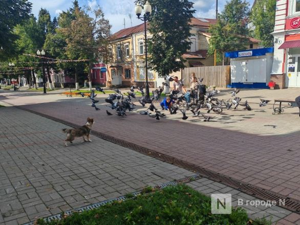 Один день в столице Золотой хохломы: уютный репортаж из Семенова в Нижегородской области - фото 43
