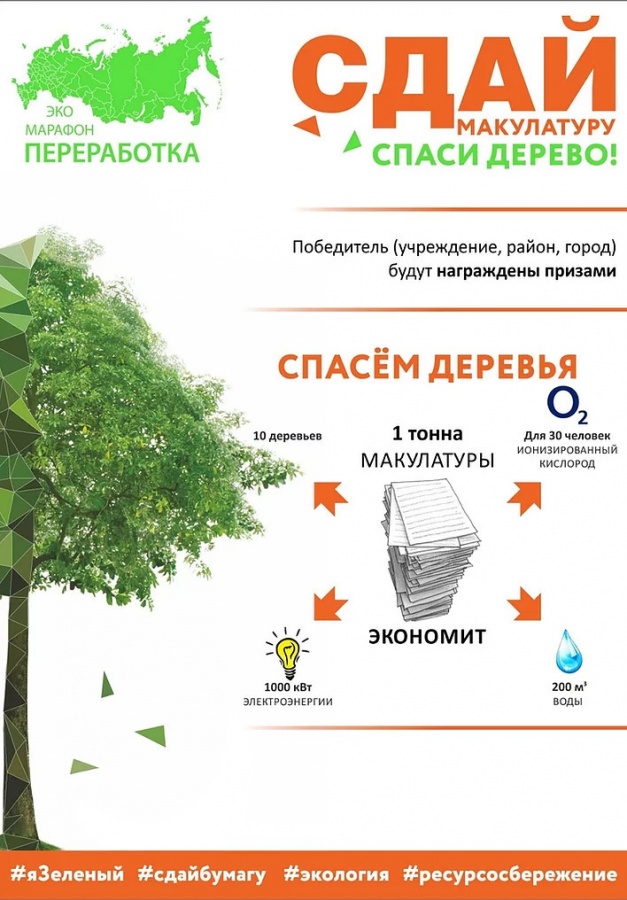 Экомарафон &laquo;Сдай макулатуру &mdash; спаси дерево!&raquo; анонсировали в Нижегородской области - фото 1