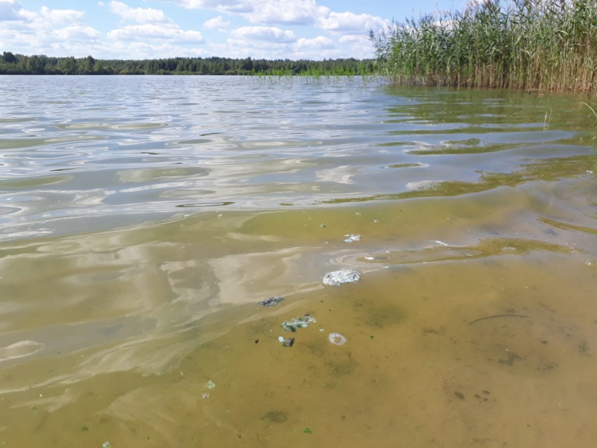 Проверка организована на озере со зловонной пеной в Воскресенском округе - фото 1