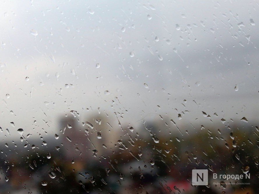 Дождливая и пасмурная погода ждет нижегородцев в выходные - фото 1