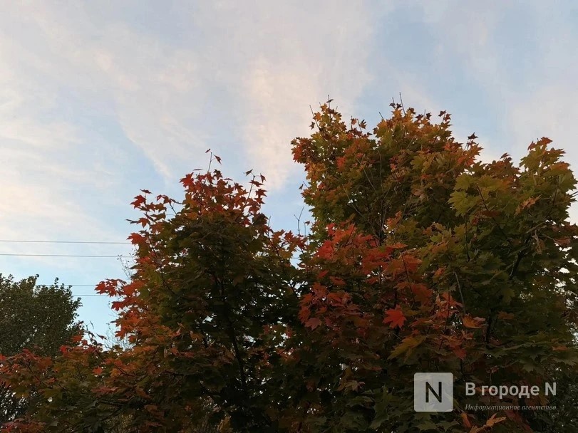 «Ощущается как -3°С»: резкое похолодание придет в Нижний Новгород - фото 1