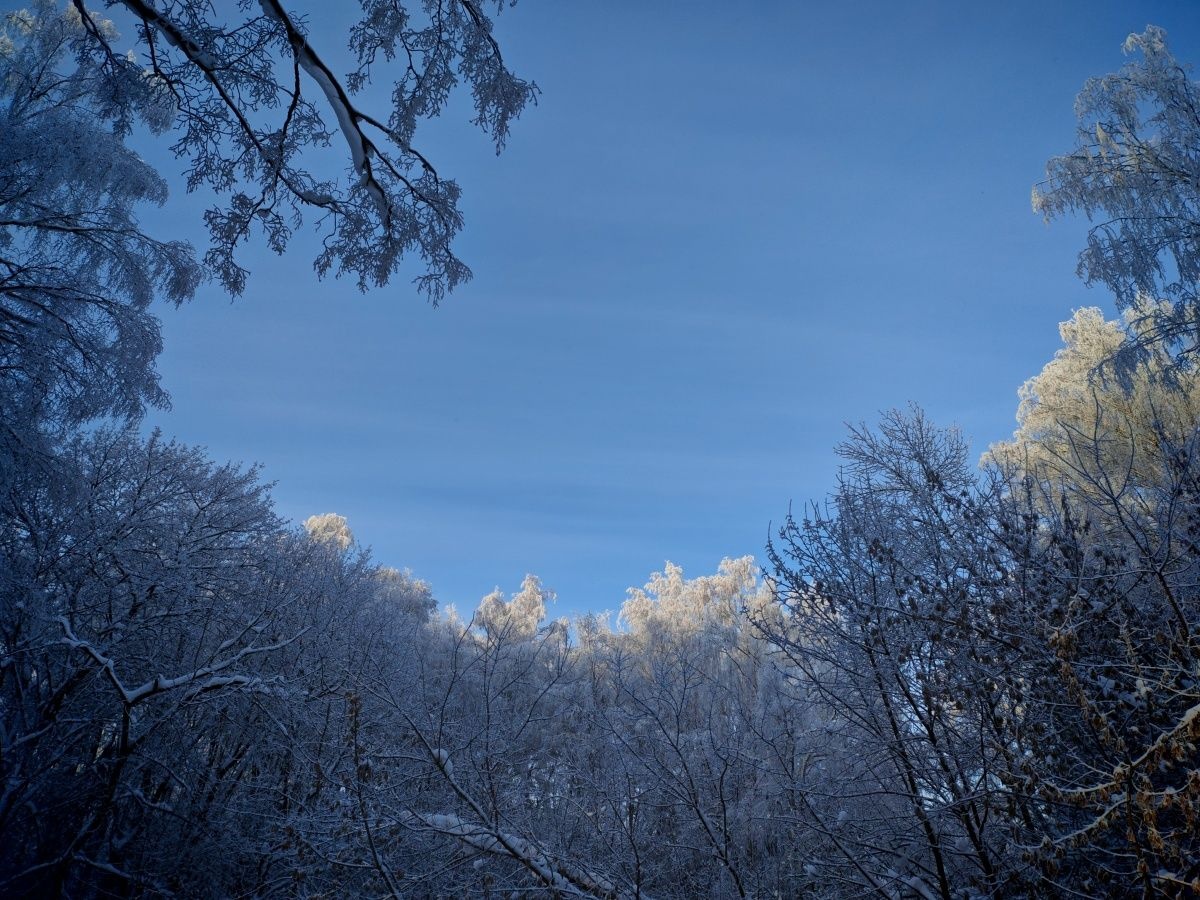 Стало известно, кто займется благоустройством парка 777-летия Нижнего Новгорода - фото 1
