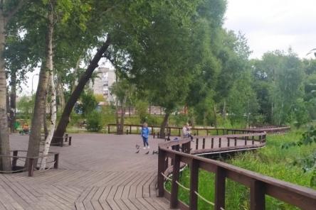Камеры видеонаблюдения начали устанавливать в Светлоярском парке