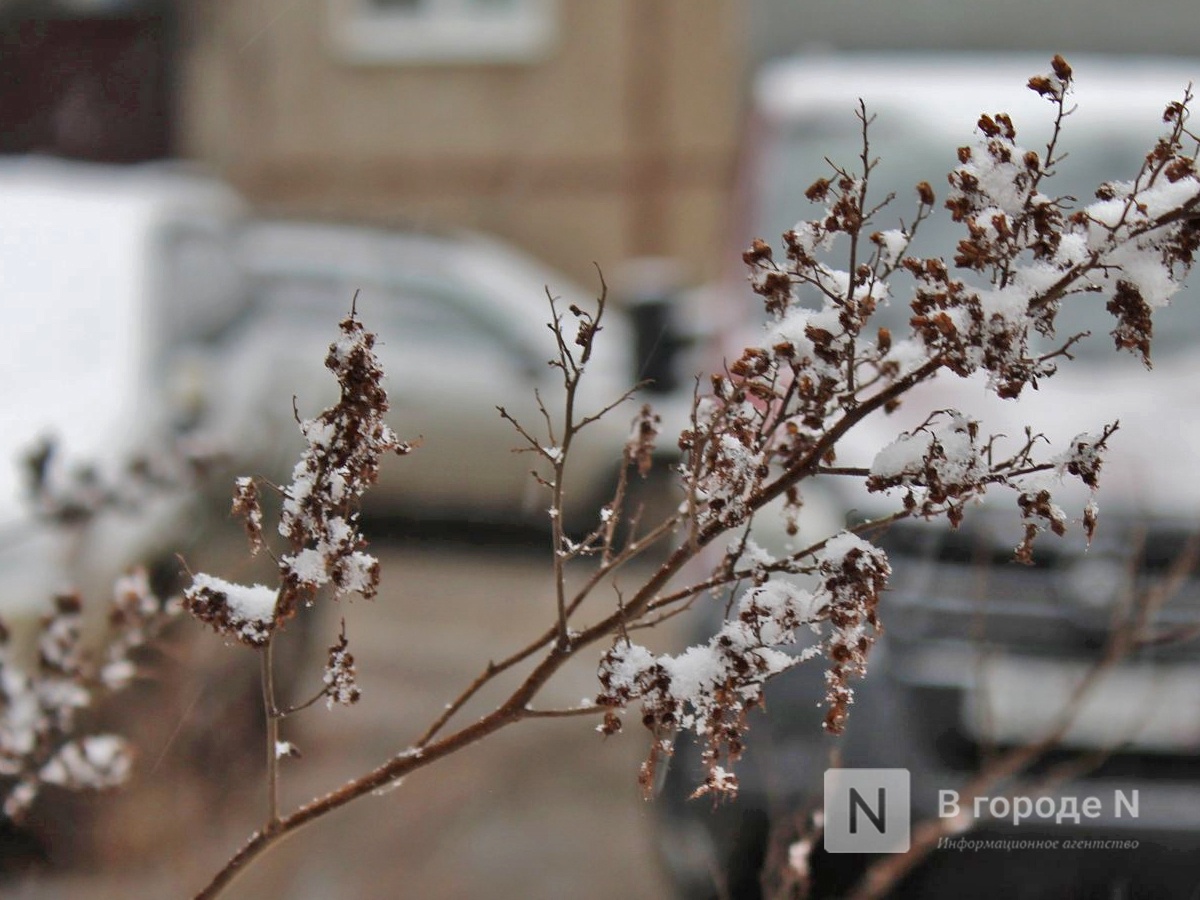 Снег выпал в Нижнем Новгороде в последний день марта - фото 1