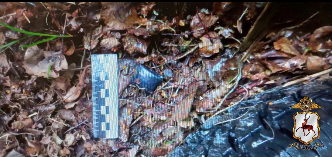 17-летняя мама с ребенком пыталась купить наркотики в Нижегородской области - фото 1