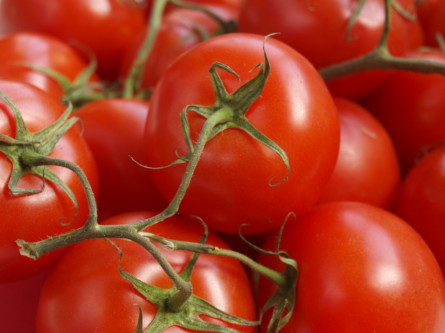Свежие помидоры продолжают дорожать в Нижегородской области - фото 1
