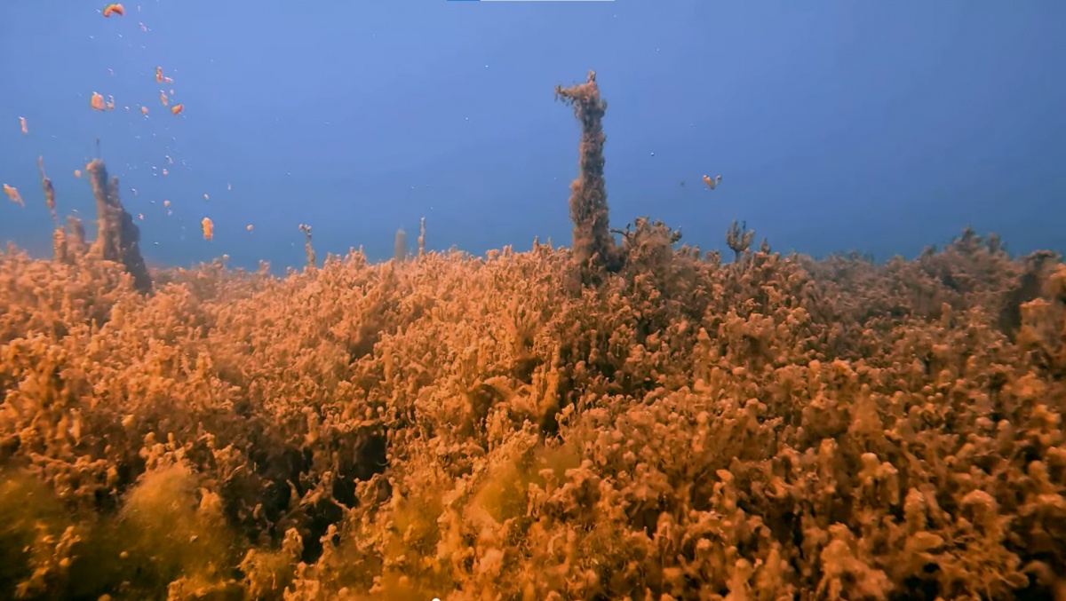 Захватывающие кадры со дна ледяного озера Ключик показали нижегородцам - фото 3