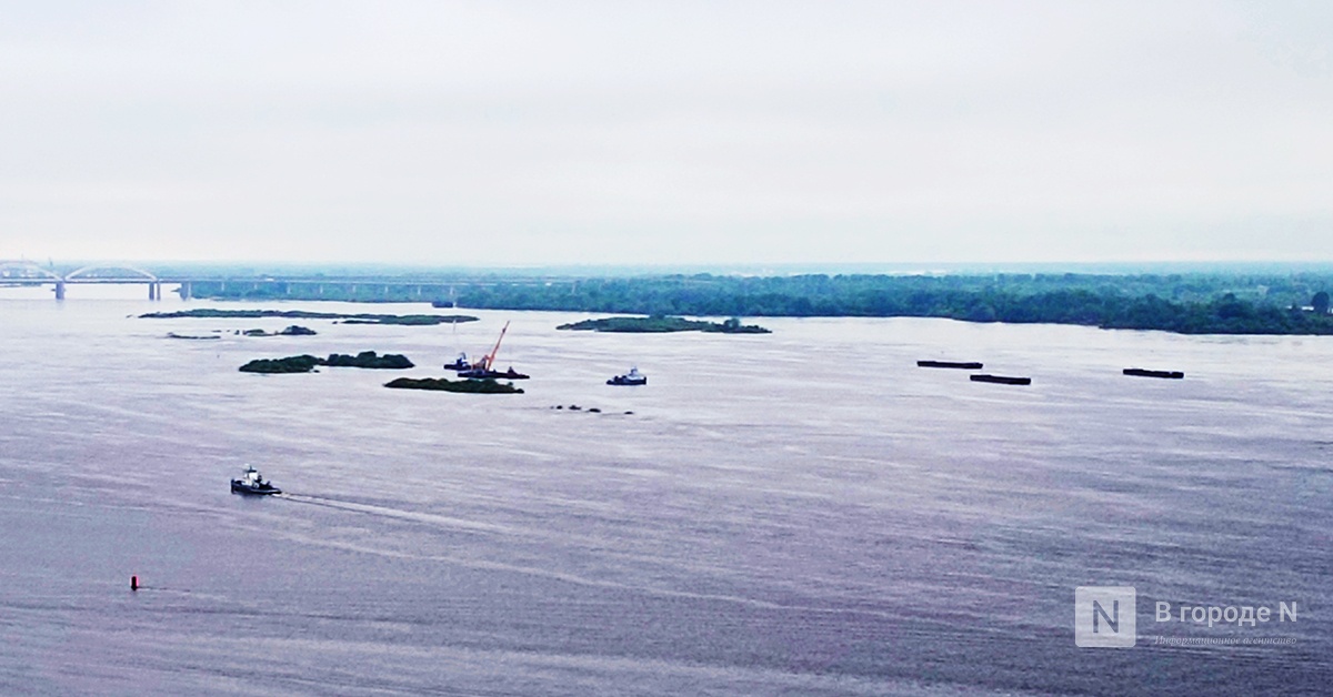 Нижегородцы борются против загрязнения берегов Борской поймы - фото 1