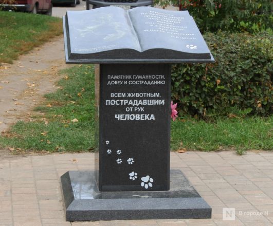 Купеческие дома и наследие 90-х: чем удивляет Гордеевка в Нижнем Новгороде — фоторепортаж - фото 84