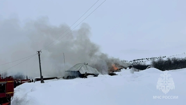 Пенсионер погиб на пожаре в Нижегородской области - фото 1