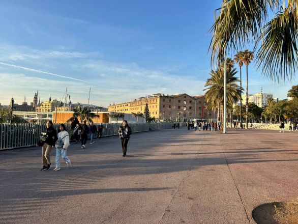 Морские гады, руины и потрясающий климат: вся правда о путешествии Барселона &mdash; Рим - фото 31