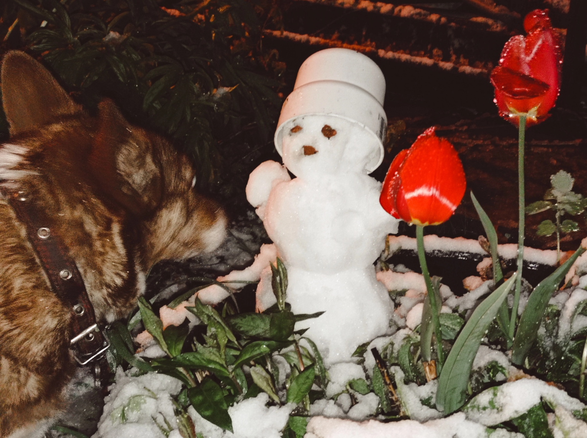 Нижегородцы налепили снеговиков 8 мая - фото 3