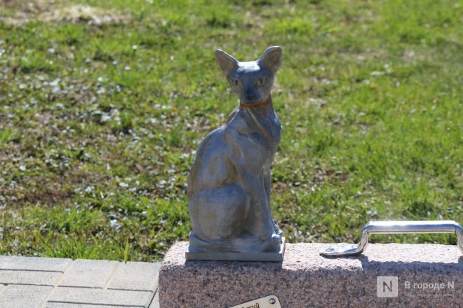 Йошкин кот и европейские набережные: нижегородка рассказала об удивительном путешествии в Марий Эл - фото 38
