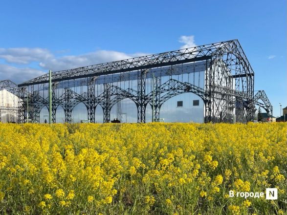 Как выглядела и менялась Стрелка в Нижнем Новгороде: архивные фото - фото 6