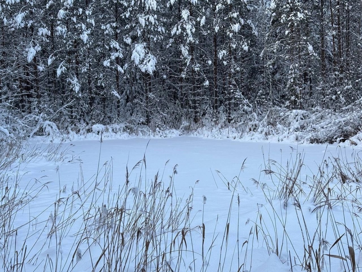 Нижегородцам показали место, где 195 млн лет назад упал метеорит - фото 1
