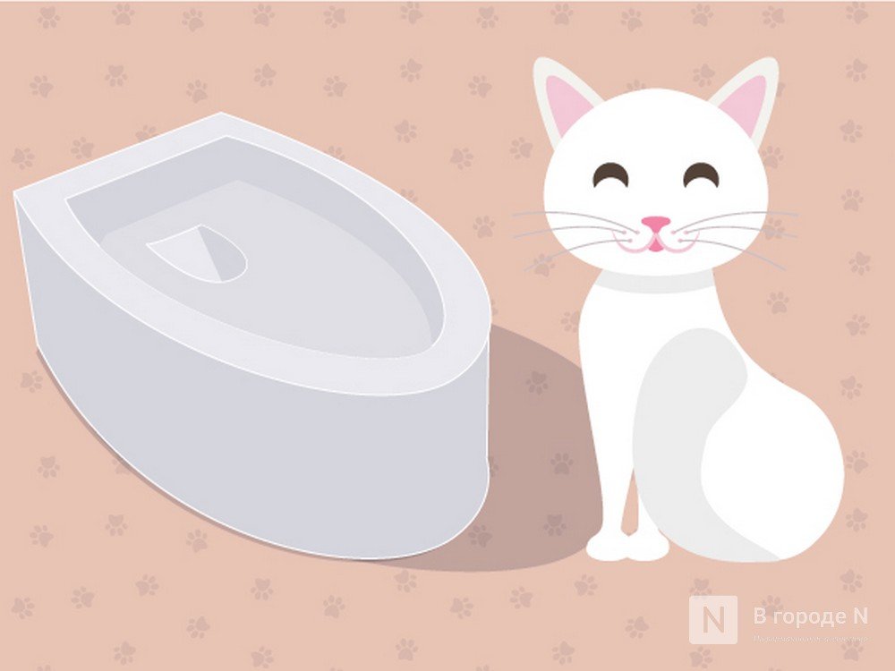 Кому приносит пользу автоматический кошачий туалет? Кошке или хозяину? - фото 1