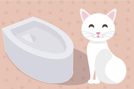 Кому приносит пользу автоматический кошачий туалет? Кошке или хозяину?