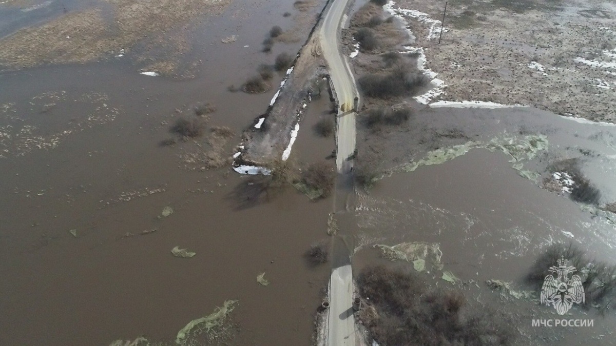 12 мостов и 28 приусадебных участков подтопило в Нижегородской области - фото 1