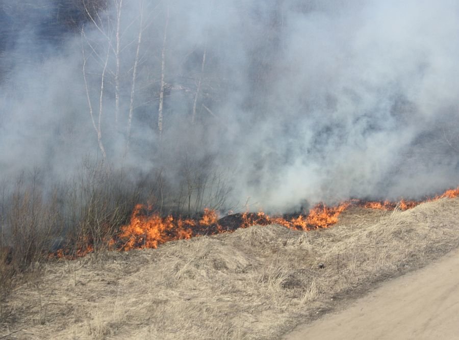 Более 50 загораний сухой травы произошло в Нижегородской области в праздники - фото 1