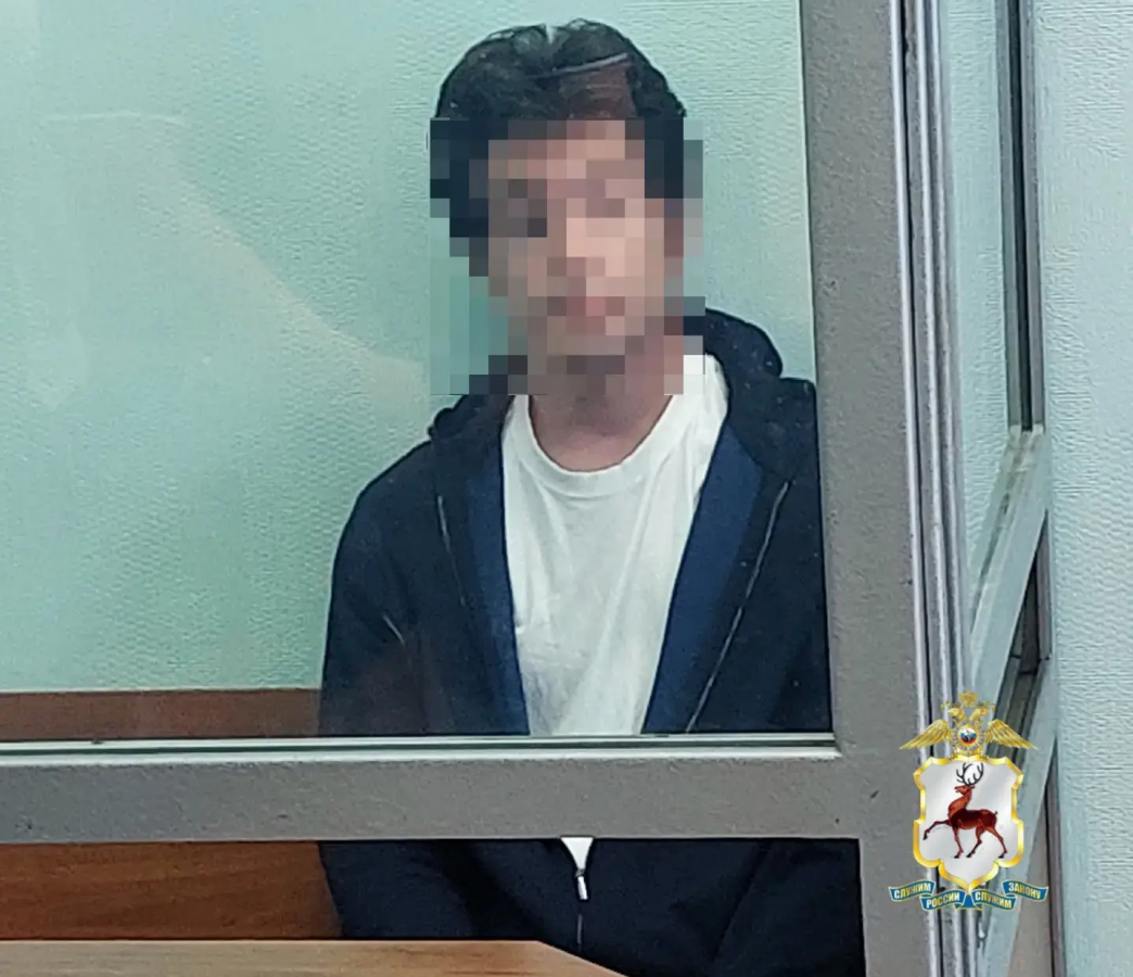 Бастрыкин снова заинтересовался скандалом с сыном нижегородского миллиардера - фото 1