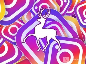 Онлайн-конференцию с предпринимателями проведет в Instagram замгубернатора Нижегородской области