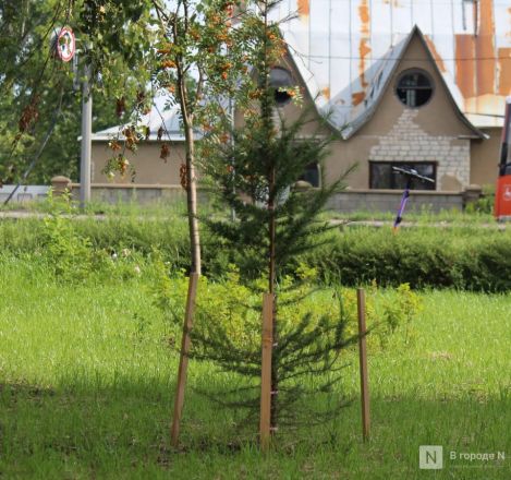 Благоустройство &ndash;  2025: смотрим, как меняются пространства в районах Нижнего Новгорода - фото 18